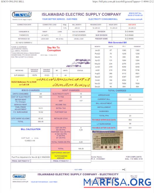 Blank PAKISTAN IESC utility bill Word and PDF template